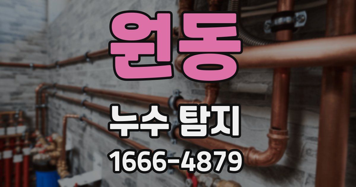 원동 누수 탐지