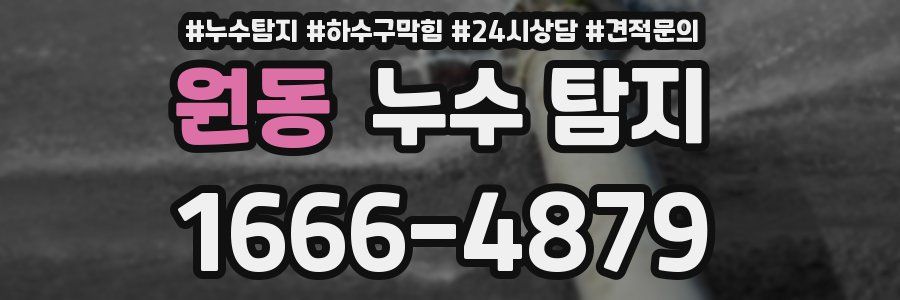 원동 누수 탐지