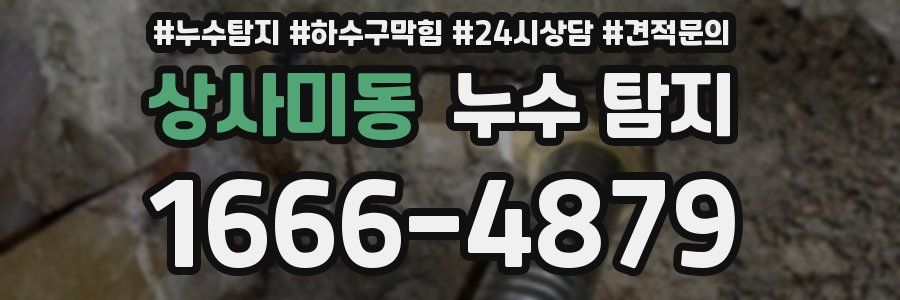 상사미동 누수 탐지