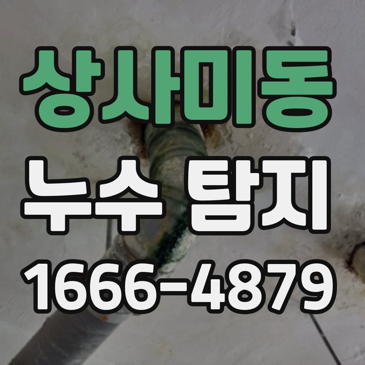 상사미동 누수 탐지