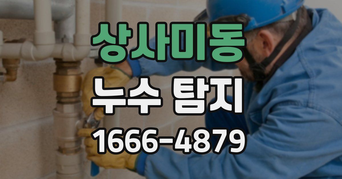 상사미동 누수 탐지