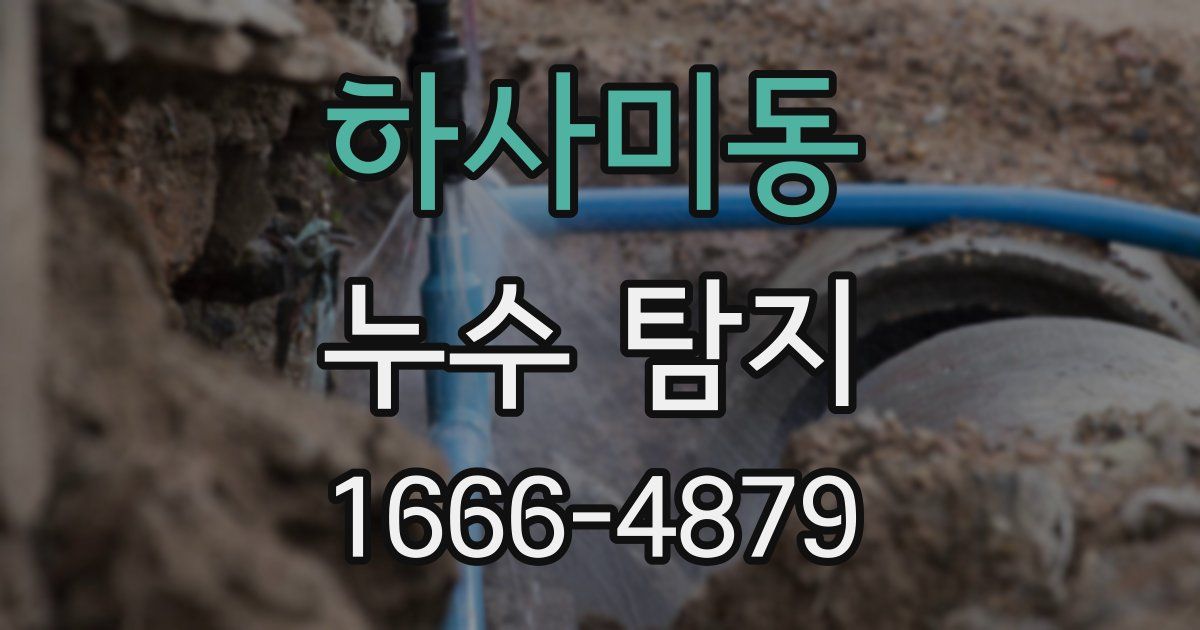 하사미동 누수 탐지
