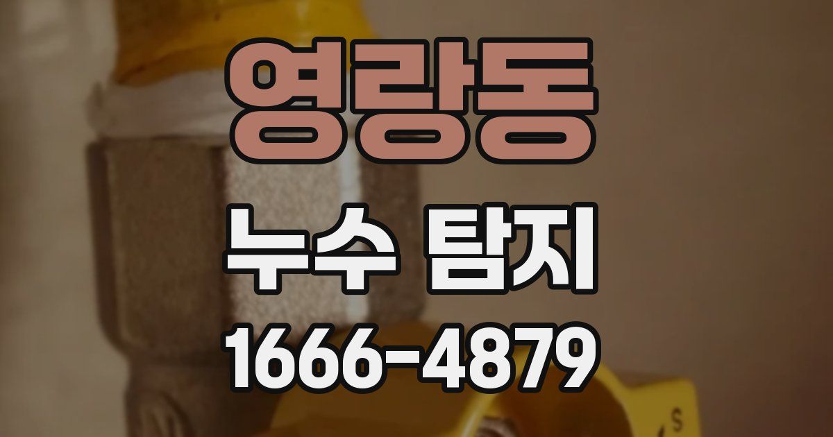 영랑동 누수 탐지