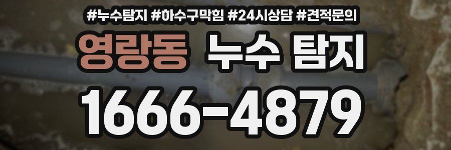 영랑동 누수 탐지