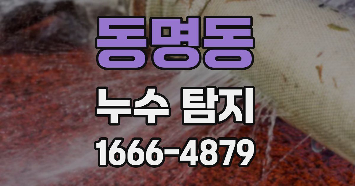 동명동 누수 탐지