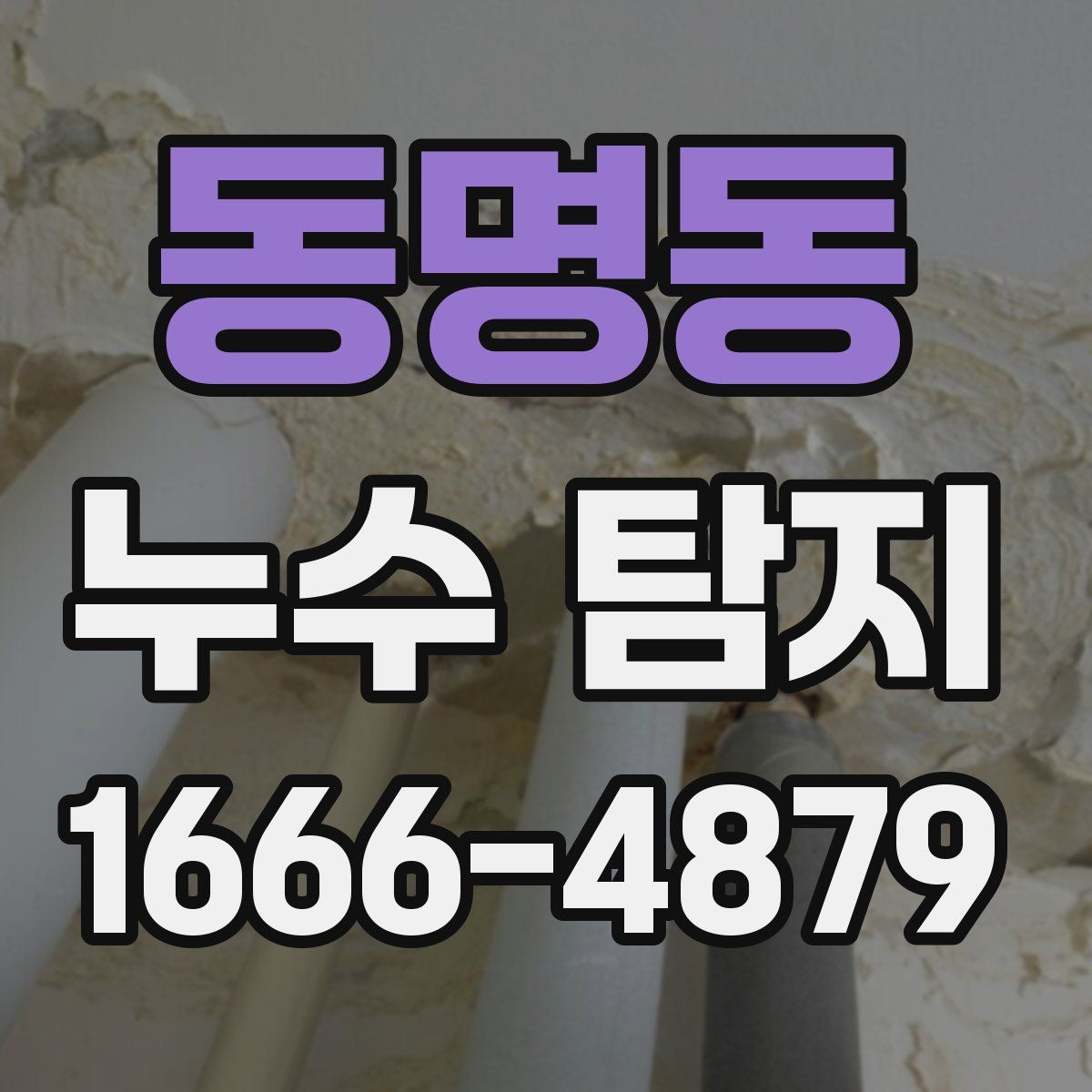 동명동 누수 탐지