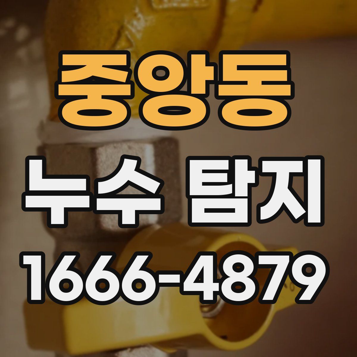 중앙동 누수 탐지
