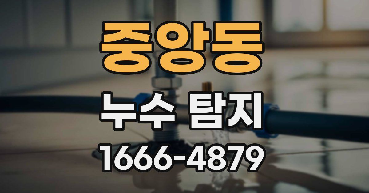 중앙동 누수 탐지