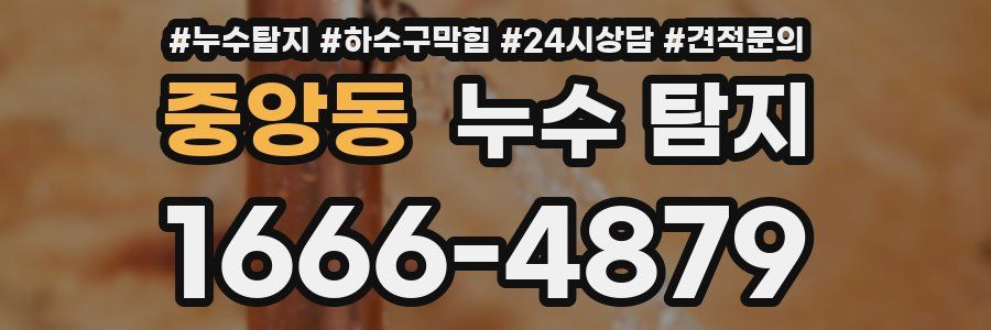 중앙동 누수 탐지