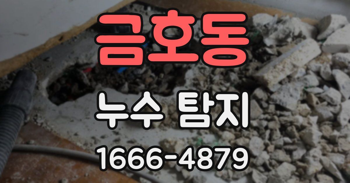 금호동 누수 탐지