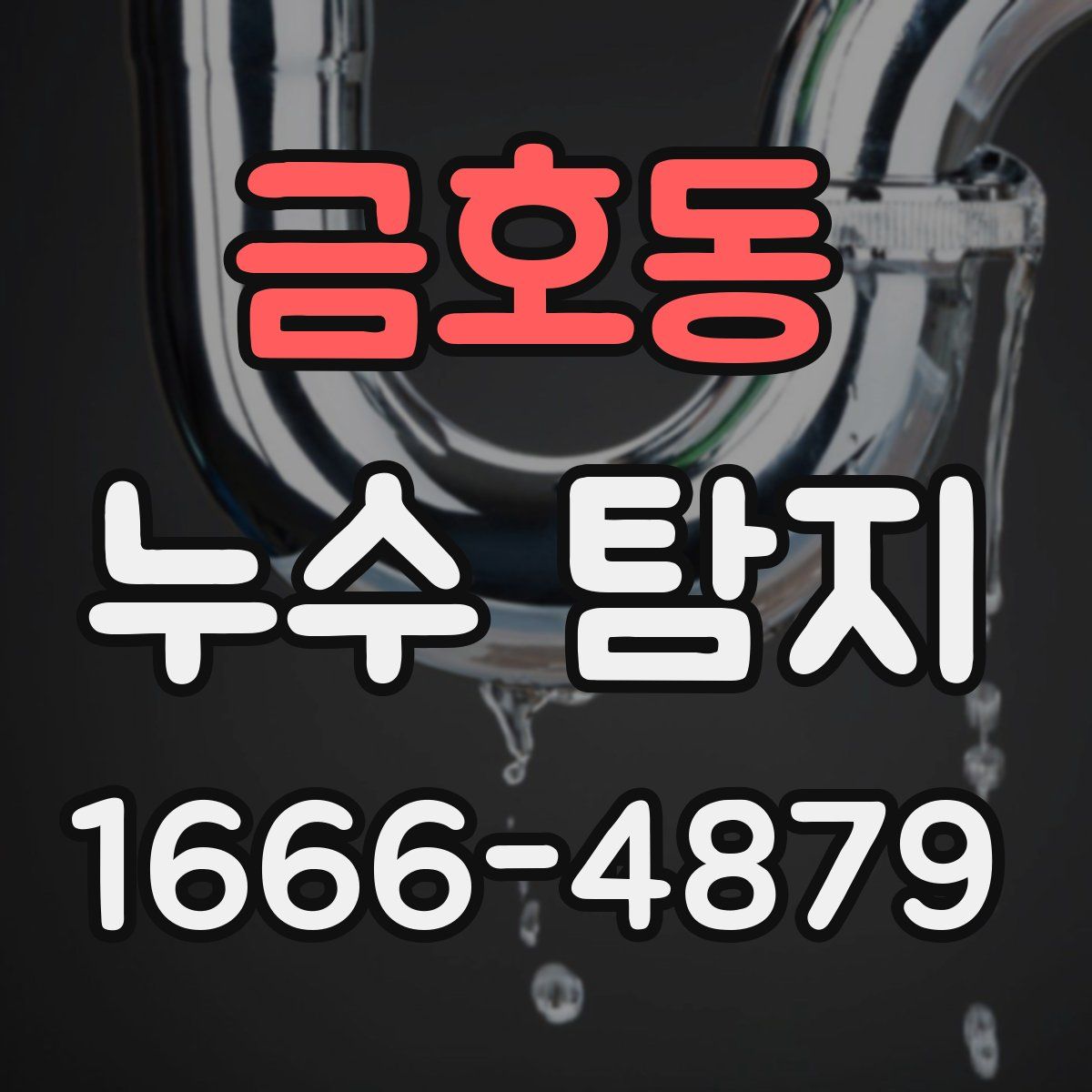 금호동 누수 탐지
