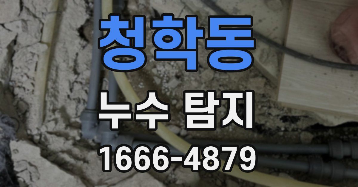 청학동 누수 탐지