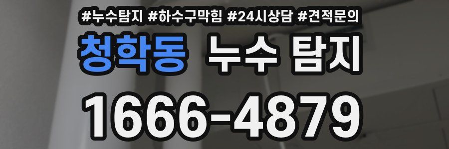 청학동 누수 탐지