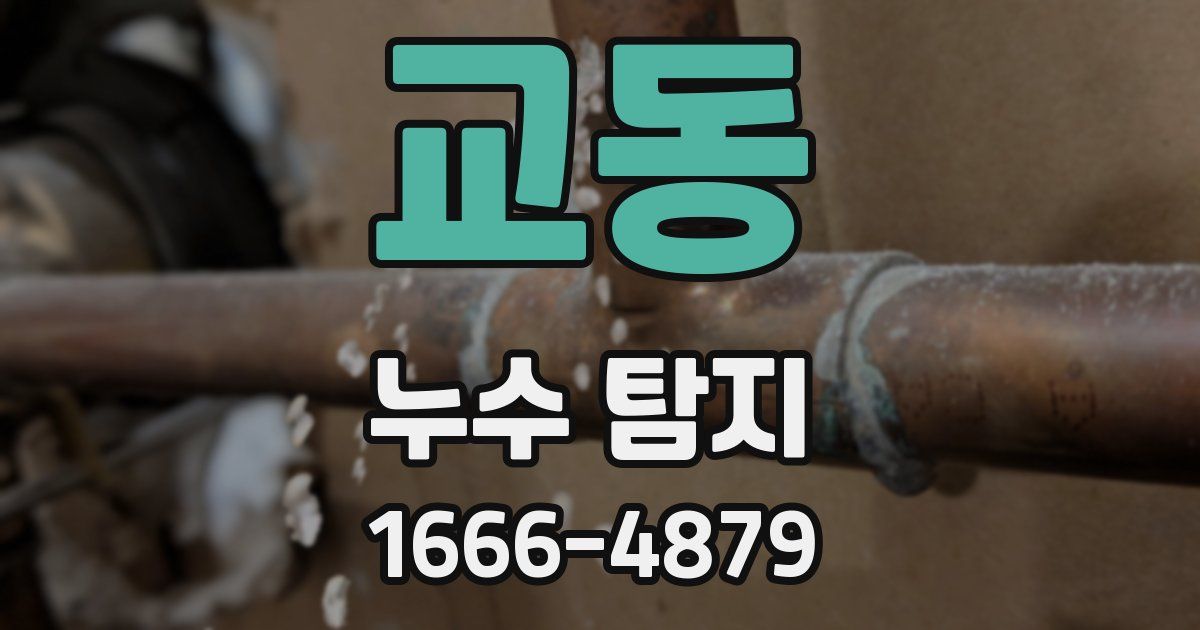 교동 누수 탐지