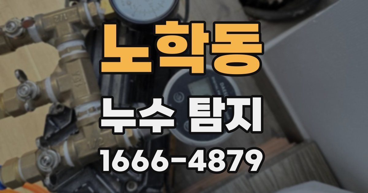 노학동 누수 탐지