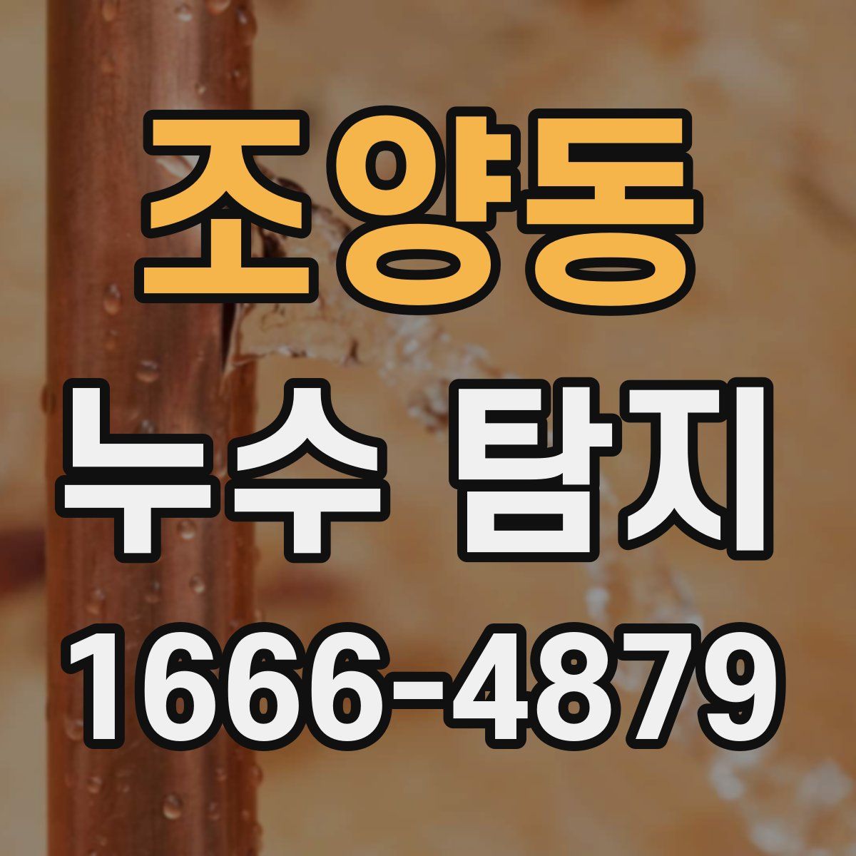 조양동 누수 탐지