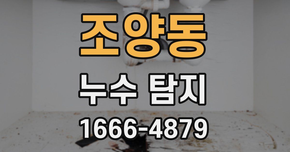 조양동 누수 탐지