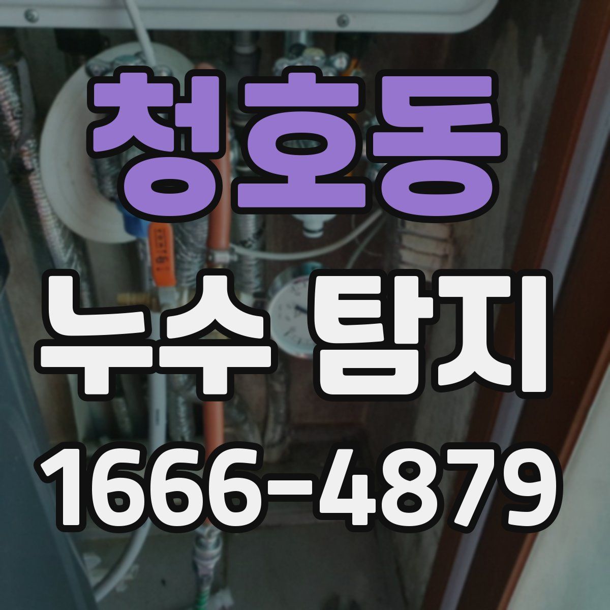 청호동 누수 탐지