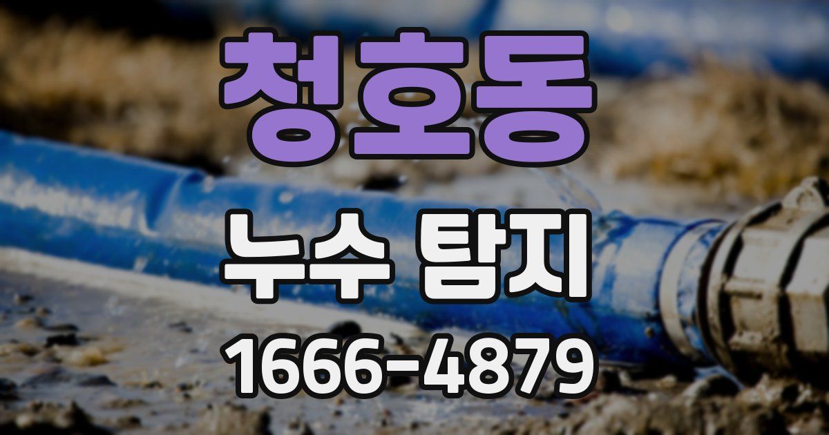 청호동 누수 탐지