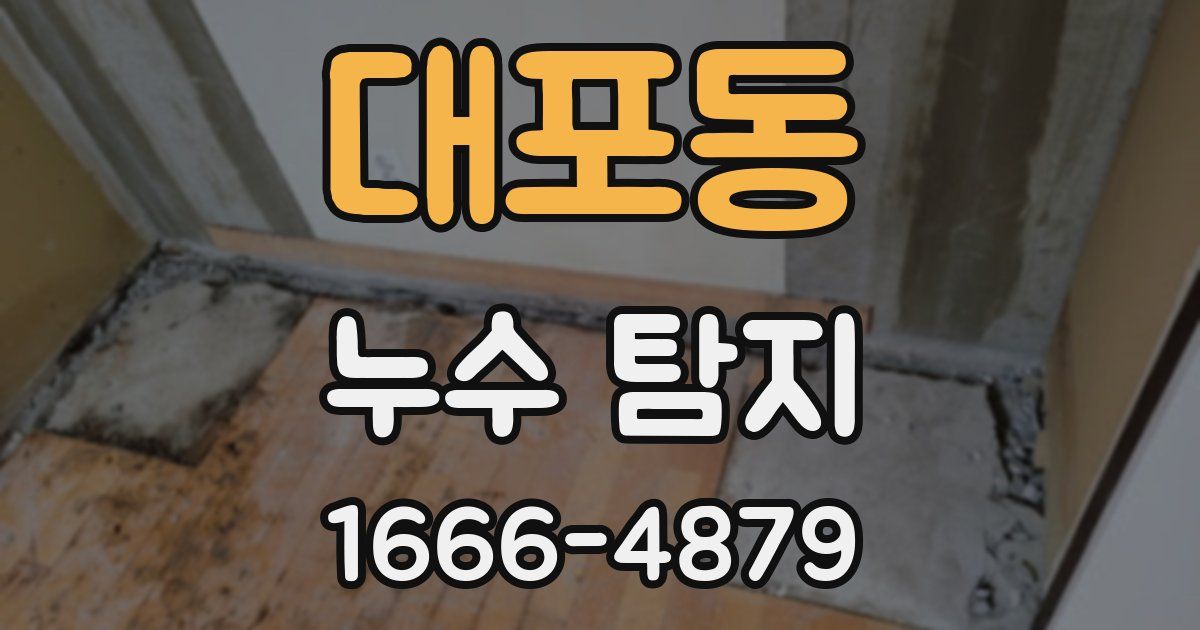 대포동 누수 탐지