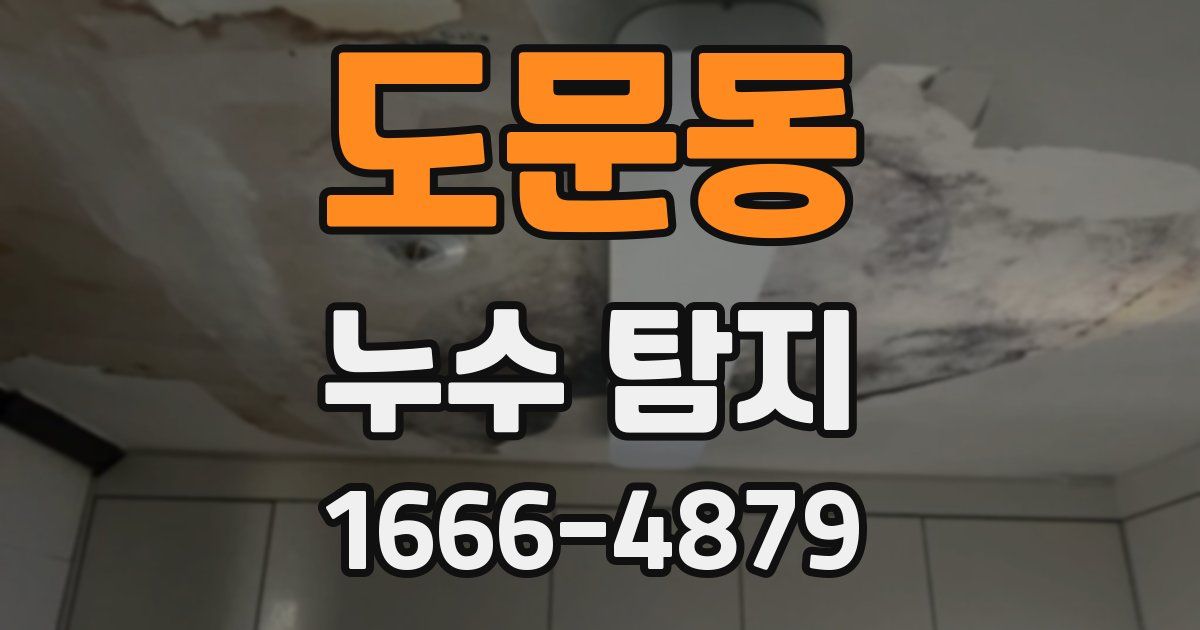 도문동 누수 탐지