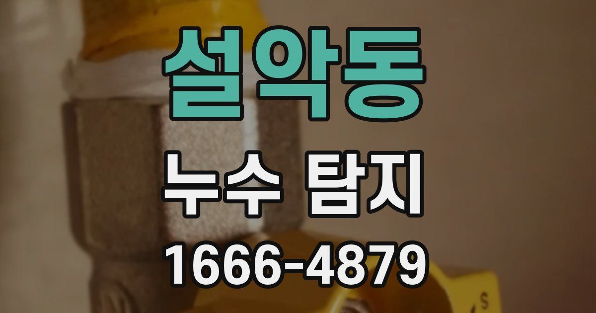 설악동 누수 탐지