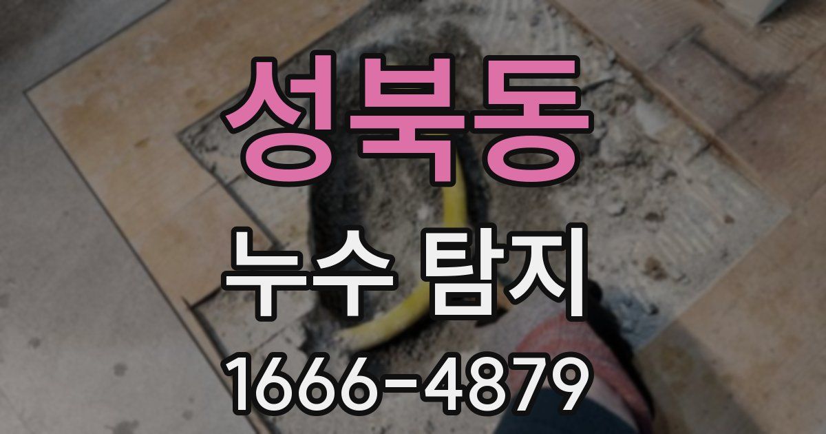 성북동 누수 탐지