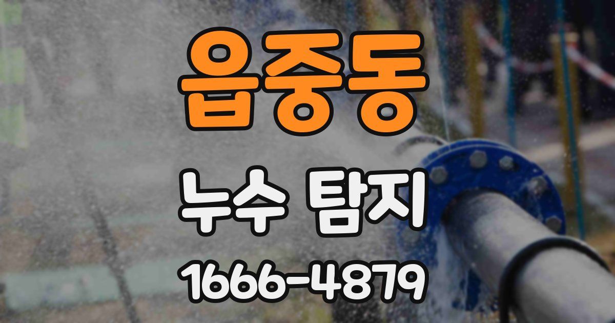 읍중동 누수 탐지