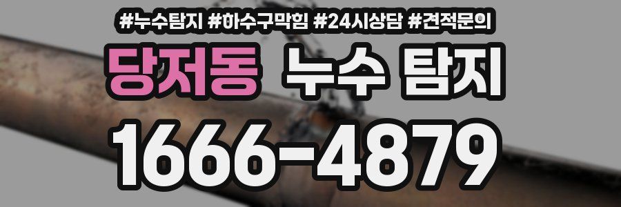 당저동 누수 탐지