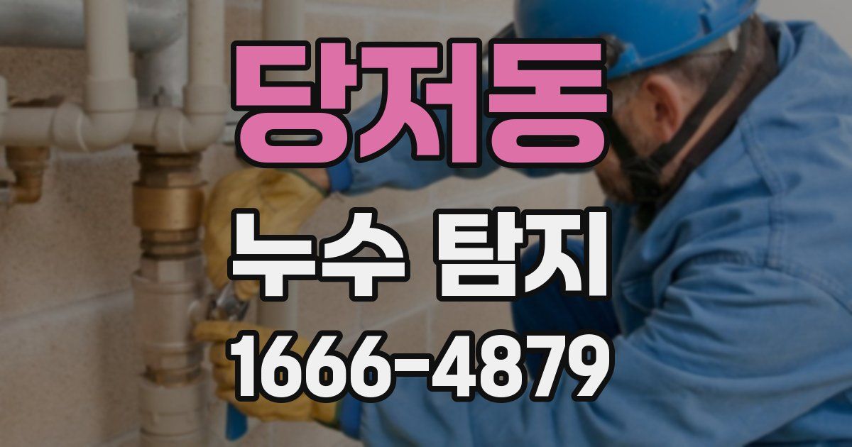 당저동 누수 탐지