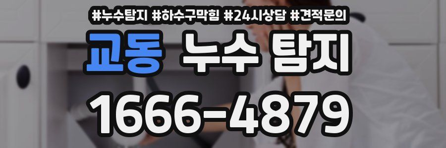 교동 누수 탐지