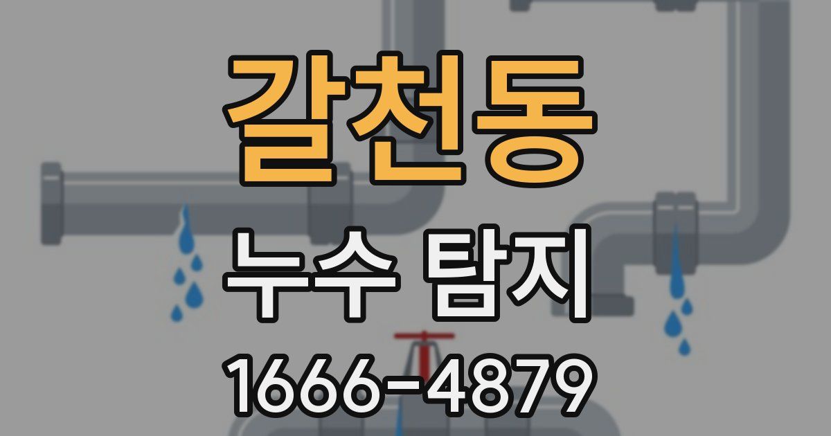 갈천동 누수 탐지