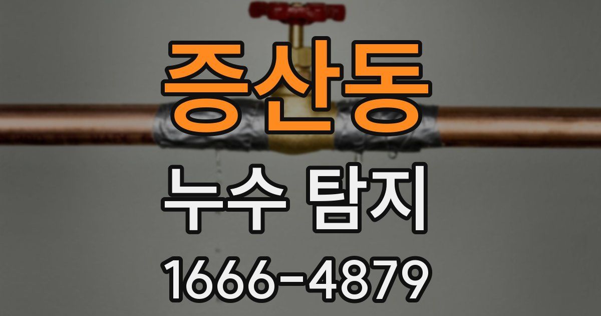 증산동 누수 탐지