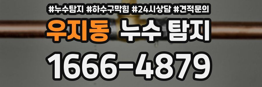 우지동 누수 탐지