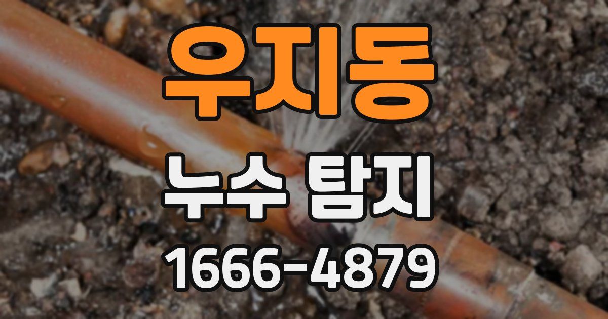 우지동 누수 탐지
