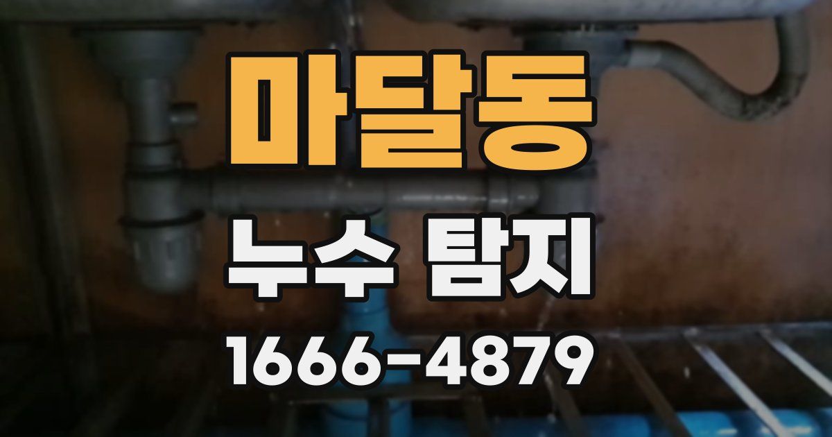 마달동 누수 탐지