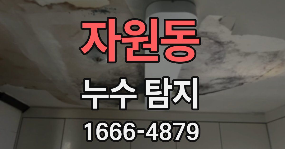 자원동 누수 탐지