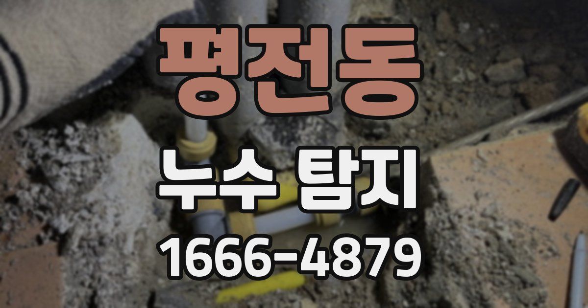 평전동 누수 탐지