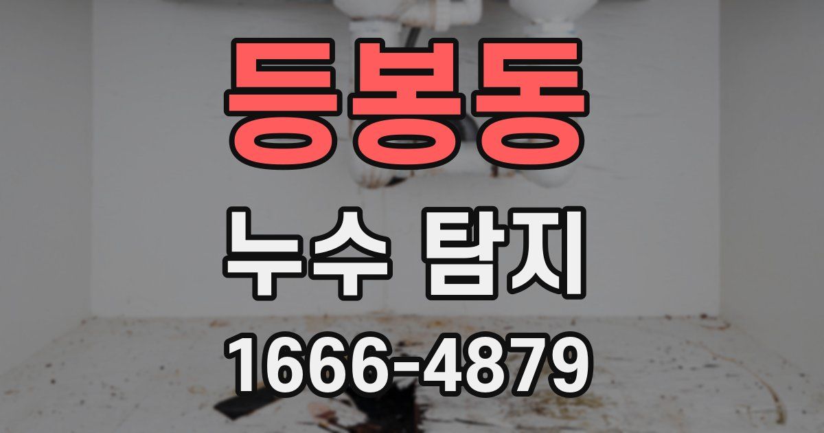 등봉동 누수 탐지