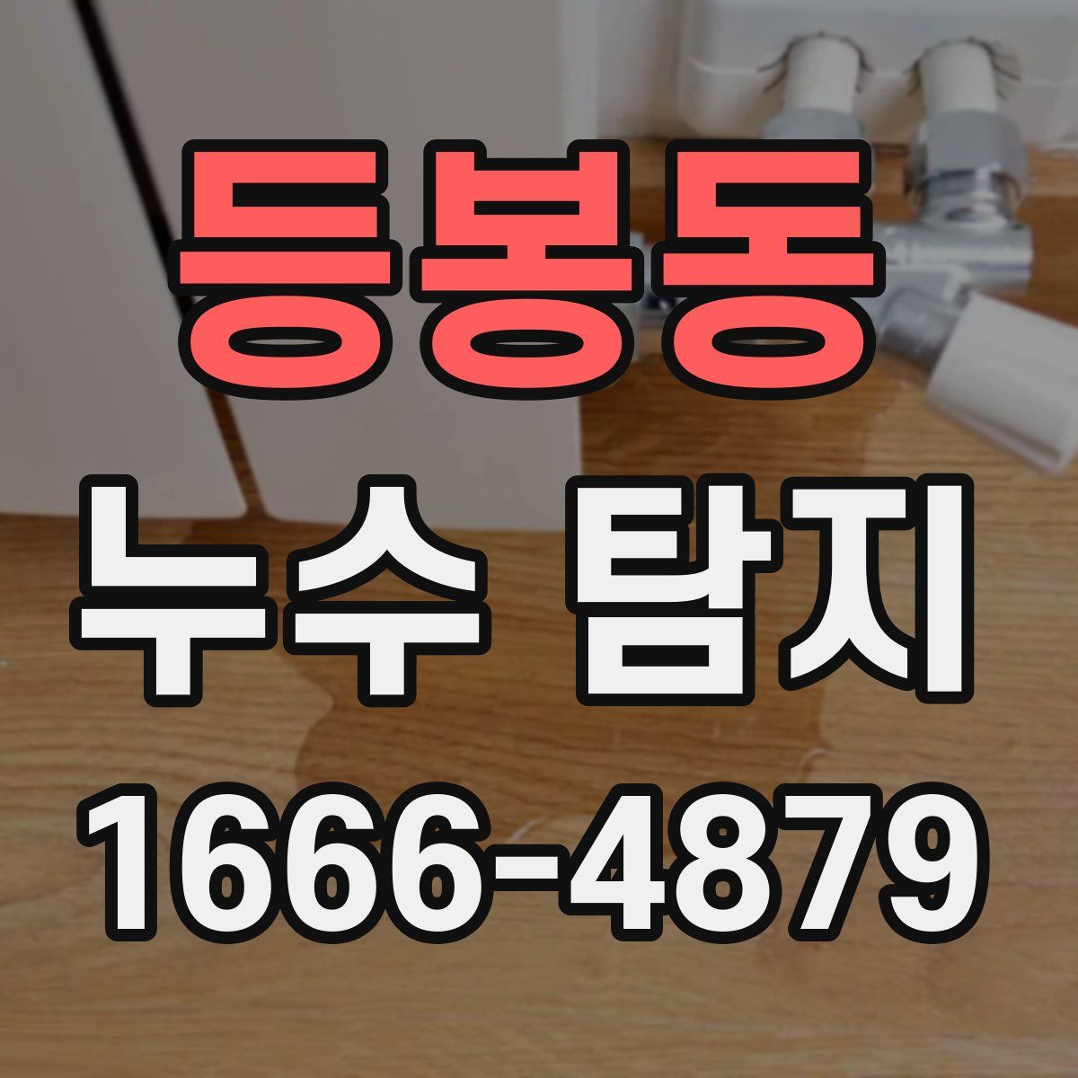 등봉동 누수 탐지