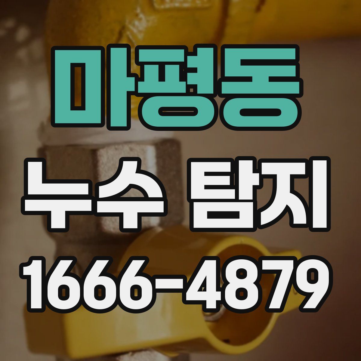 마평동 누수 탐지