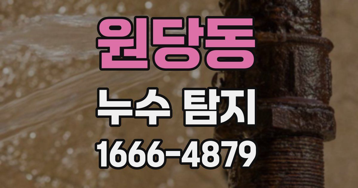 원당동 누수 탐지
