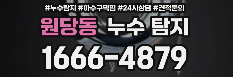 원당동 누수 탐지