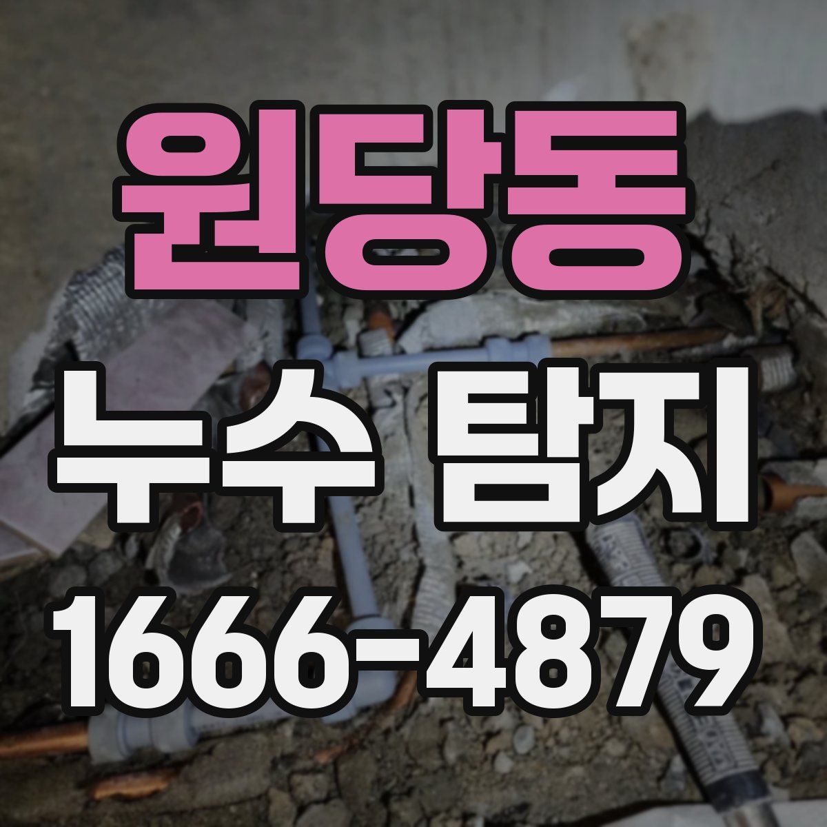 원당동 누수 탐지