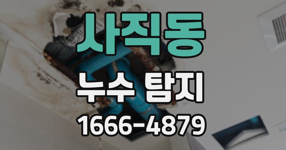 사직동 누수 탐지