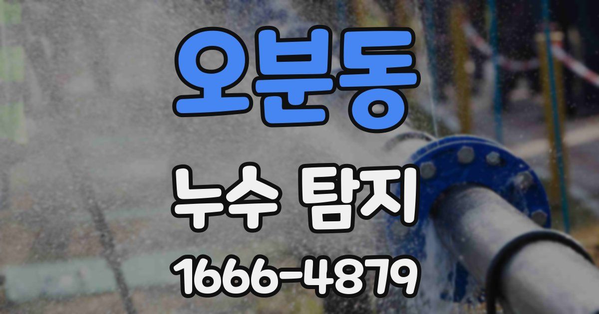 오분동 누수 탐지