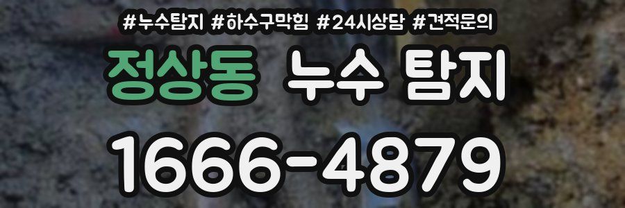 정상동 누수 탐지