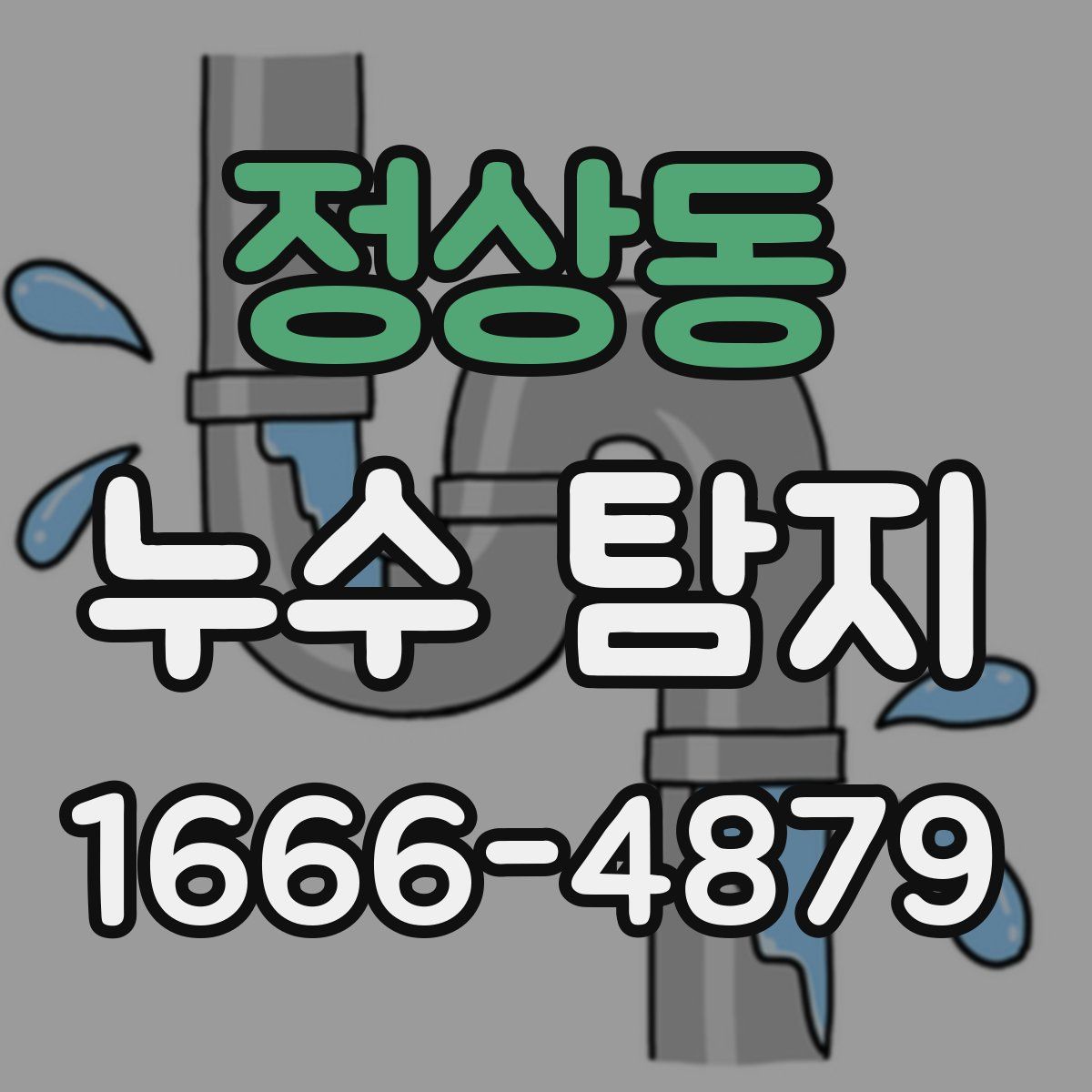 정상동 누수 탐지