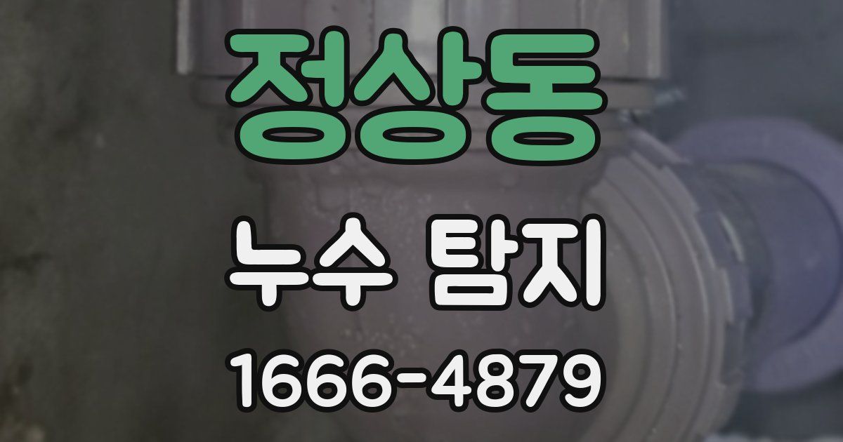 정상동 누수 탐지