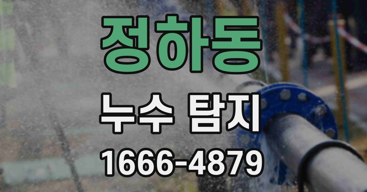 정하동 누수 탐지